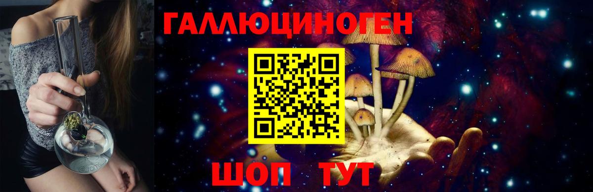 Зима  Псилоцибиновые грибы Cubensis  Вход с VPN 