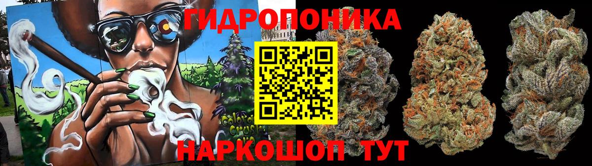 Шишки марихуана планчик  Бошки марихуана сатива  Вход с VPN  Зима 